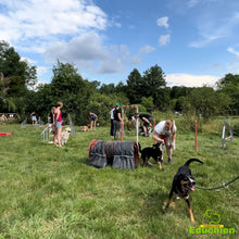 Charger l'image dans la galerie, Stage d'initiation à l'Agility proche de Paris en île-de-france Yvelines 78 sport canin Educhien formation education canine activité chien club canin educhien78
