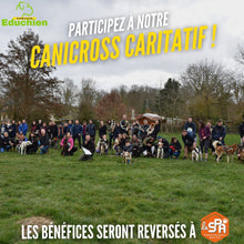 Charger l'image dans la galerie, Canicross caritatif 2023 course caritative Yvelines 2023 course de chien sport canin refuge SPA Course canine educhien éducation canine évènement canin chien chiot canicross évènement septembre 2023