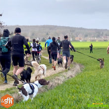 Charger l'image dans la galerie, Canicross caritatif 2023 course caritative Yvelines 2023 course de chien sport canin refuge SPA Course canine educhien éducation canine évènement canin chien chiot canicross évènement septembre 2023