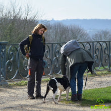 Charger l'image dans la galerie, Stage sur l'agressivité et la réactivité entre congénères, troubles du comportement canin, éducation canine, éducateur canin, Educhien, Educhien78, Educhien formation, stages et formations canines en Île-de-France, centre de formation, communication chien et chiot, Yvelines 78.