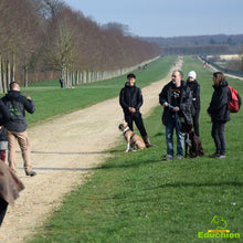 Charger l'image dans la galerie, Stage agressivité entre congénères, réactivité chien, troubles du comportement canin, éducation canine, éducateur canin, Educhien, Educhien78, Educhien formation, stages et formations canines, Île-de-France, centre de formation, communication chien et chiot, Yvelines 78, Saint-Germain-en-Laye, Alexis Bonnarang, comportementaliste canin, communication canine entre chiens.