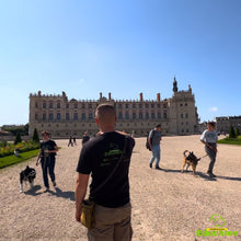 Charger l'image dans la galerie, Stage sur l'agressivité et la réactivité entre congénères, troubles du comportement canin, éducation canine, éducateur canin, Educhien, Educhien78, Educhien formation, stages et formations canines en Île-de-France, centre de formation, communication chien et chiot, Yvelines 78.