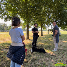 Charger l'image dans la galerie, Stage sur l'agressivité et la réactivité entre congénères, troubles du comportement canin, éducation canine, éducateur canin, Educhien, Educhien78, Educhien formation, stages et formations canines en Île-de-France, centre de formation, communication chien et chiot, Yvelines 78.