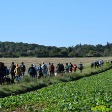 Charger l'image dans la galerie, CANICROSS CARITATIF / Dimanche 22 mars 2026 (INSCRIPTIONS OUVERTES)
