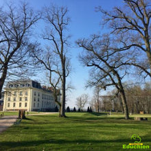 Charger l'image dans la galerie, CANICROSS CARITATIF / Dimanche 22 mars 2026