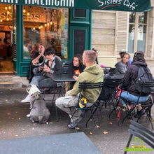 Charger l'image dans la galerie, Participez à notre Week-end Intensif d'Éducation Canine les 20 et 21 juillet 2024, de 10h à 16h, dans les Yvelines (78), entre Jouars-Pontchartrain et Versailles. Améliorez la relation avec votre chien grâce à des méthodes d'éducation adaptées. Inscrivez-vous dès maintenant pour une expérience enrichissante !