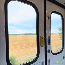 Charger l'image dans la galerie, Explorez les méthodes d'éducation canine lors de notre week-end intensif ! Adapté à tous les chiens, ce stage se concentre sur l'éducation générale, laissant de côté les problématiques comportementales spécifiques. Rejoignez-nous les 20 et 21 juillet 2024, de 10h à 16h, dans les Yvelines (78), entre Jouars-Pontchartrain et Versailles. Inscrivez-vous dès maintenant pour une expérience enrichissante avec votre fidèle compagnon !