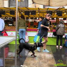 Charger l'image dans la galerie, Explorez les méthodes d'éducation canine lors de notre week-end intensif ! Adapté à tous les chiens, ce stage se concentre sur l'éducation générale, laissant de côté les problématiques comportementales spécifiques. Rejoignez-nous les 20 et 21 juillet 2024, de 10h à 16h, dans les Yvelines (78), entre Jouars-Pontchartrain et Versailles. Inscrivez-vous dès maintenant pour une expérience enrichissante avec votre fidèle compagnon !