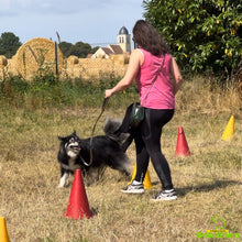 Charger l'image dans la galerie, Participez à notre week-end intensif d'éducation canine les 20 et 21 juillet 2024, de 10h à 16h, dans les Yvelines (78), entre Jouars-Pontchartrain et Versailles. Renforcez la complicité avec votre chien lors de ce stage dédié à l'éducation canine. Réservez dès maintenant votre place pour une expérience enrichissante !