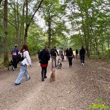 Charger l'image dans la galerie, Participez à notre week-end intensif d'éducation canine les 20 et 21 juillet 2024, de 10h à 16h, dans les Yvelines (78), entre Jouars-Pontchartrain et Versailles. Renforcez la complicité avec votre chien lors de ce stage dédié à l'éducation canine. Réservez dès maintenant votre place pour une expérience enrichissante !