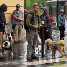 Charger l'image dans la galerie, Découvrez notre week-end intensif d'éducation canine les 20 et 21 juillet 2024, de 10h à 16h, dans les Yvelines (78), entre Jouars-Pontchartrain et Versailles. Rejoignez-nous pour une expérience enrichissante avec votre chien !