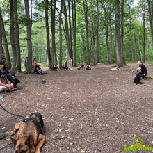 Charger l'image dans la galerie, Participez à notre Week-end Intensif d'Éducation Canine les 20 et 21 juillet 2024, de 10h à 16h, dans les Yvelines (78), entre Jouars-Pontchartrain et Versailles. Améliorez la relation avec votre chien grâce à des méthodes d'éducation adaptées. Inscrivez-vous dès maintenant pour une expérience enrichissante !