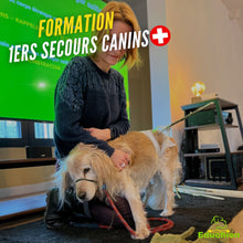 Charger l'image dans la galerie, formation EDUCHIEn premiers secours canin dans les Yvelines pour les particuliers et les professionnel