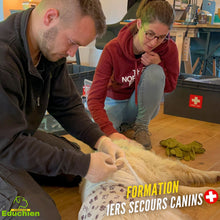 Charger l'image dans la galerie, formation et sensibilisation aux gestes de premiers secours canin dans les Yvelines