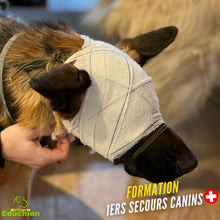 Charger l'image dans la galerie, formation et sensibilisation aux gestes de premiers secours canin dans les Yvelines