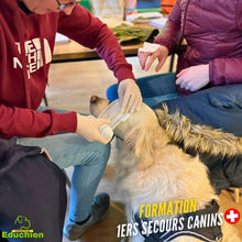 Charger l'image dans la galerie, EDUCHIEN FORMATION formation de deux jours 1ers secours canin dans les Yvelines