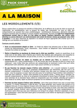 Charger l'image dans la galerie, Les mordillements chez le chiot : Formation en ligne par Educhien Formation Les mordillements chez le chiot sont une étape naturelle de leur développement, mais ils peuvent rapidement devenir problématiques si on ne sait pas comment les gérer. Pour aider les propriétaires de chiots à comprendre et à corriger ce comportement, Educhien Formation propose une formation en ligne complète.