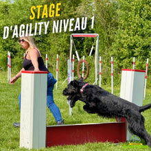 Charger l'image dans la galerie, Découvrez l’Agility avec Educhien – Club Canin de la Plaine de Jouars : une activité sportive et éducative permettant au chien et à son propriétaire de développer complicité, concentration et confiance à travers le franchissement d’obstacles et l’apprentissage de parcours adaptés à tous les niveaux.