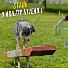 Charger l'image dans la galerie, Stage d’initiation à l’Agility au club canin Educhien – Club Canin de la Plaine de Jouars, avec apprentissage des obstacles, travail de la relation maître-chien et découverte d’un sport canin complet mêlant éducation, jeu, concentration et activité physique dans une ambiance conviviale.