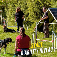 Charger l'image dans la galerie, Stage d’initiation à l’Agility au club canin Educhien – Club Canin de la Plaine de Jouars, avec apprentissage des obstacles, travail de la relation maître-chien et découverte d’un sport canin complet mêlant éducation, jeu, concentration et activité physique dans une ambiance conviviale.