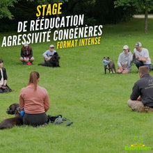 Charger l'image dans la galerie, Stage sur l'agressivité et la réactivité entre congénères, troubles du comportement canin, éducation canine, éducateur canin, Educhien, Educhien78, Educhien formation, stages et formations canines en Île-de-France, centre de formation, communication chien et chiot, Yvelines 78.
