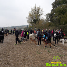 Charger l'image dans la galerie, club canin Yvelines club canin de la plaine de jouars EDUCHIEN78 Alexis bonnarang évenement canin journée du chien Canicross Cani-cross sport canin dog training course chien Yvelines île de france formations et stages canins Jouars-pontchartrain education chien chiot dressage planning des formations educhien78 2021 dimanche 3 octobre
