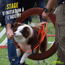 Charger l'image dans la galerie, Sport canin Agility Stage d'initiation à l'Agility Alexis bonnarang Educhien78 educhien formation education canine Dressage activité canine Dog training chien chiot stage canin comportementaliste club canin de la plaine de jouars Yvelines île-de-france 78
