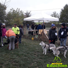 Charger l'image dans la galerie, club canin Yvelines club canin de la plaine de jouars EDUCHIEN78 Alexis bonnarang évenement canin journée du chien Canicross Cani-cross sport canin dog training course chien Yvelines île de france formations et stages canins Jouars-pontchartrain education chien chiot dressage planning des formations educhien78 2021 dimanche 3 octobre