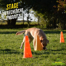 Charger l'image dans la galerie, recherche canine olfactive recherche de produits chien stage et formation educhien78 educhien formation Alexis bonnarang Yvelines 78 île-de-france Club canin de la plaine de jouars activité canine