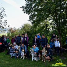 Charger l'image dans la galerie, Canicross Educhien78 Education canine yvelines course canine club canin de la plaine de jouars Yvelines 78 île-de-france formation educateur canin formation chiot en ligne educhien formation comportementaliste canin dog training