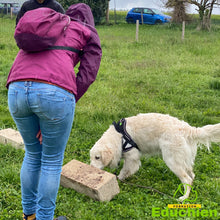 Charger l'image dans la galerie, Stage canin île-de-france Educhien formation Educhien78 formation canine recherche produits Alexis bonnarang éducation canine chien de police