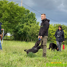 Charger l'image dans la galerie, Stage canin île-de-france Educhien formation Educhien78 formation canine recherche produits Alexis bonnarang éducation canine chien de police