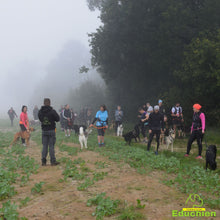 Charger l'image dans la galerie, Canicross Educhien78 Education canine yvelines course canine club canin de la plaine de jouars Yvelines 78 île-de-france formation educateur canin formation chiot en ligne educhien formation comportementaliste canin dog training Alexis Bonnarang
