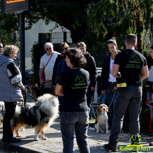 Charger l'image dans la galerie, Stage intensif education canine Yvelines 78 île-de-france Alexis bonnarang Educateur canin comportementaliste Education canine Dressage chien chiot education du chiot Formation educateur canin le métier d'éducateur canin club canin de la plaine de jouars Educhien formation journée de stage et de formation canine