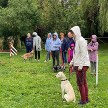 Charger l'image dans la galerie, alexis bonnarang educateur canin comportementaliste yvelines stages canins formation canine educhien formation 100% en ligne formation chiot education positive chien formation vidéo stage intensif education dressage educhien78 dresseur agility sport comportement chien