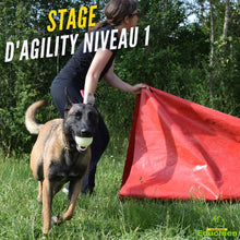 Charger l'image dans la galerie, Stage d'agility dog chien dog training Agility chien chiot Yvelines île-de-france 78 Educhien Educhien formation Educhien78 education canine Stage canin Formation canine Activités canines Sport canin