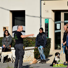 Charger l'image dans la galerie, Stage intensif education canine Yvelines 78 île-de-france Alexis bonnarang Educateur canin comportementaliste Education canine Dressage chien chiot education du chiot Formation educateur canin le métier d'éducateur canin club canin de la plaine de jouars Educhien formation journée de stage et de formation canine