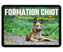 Charger l'image dans la galerie, alexis bonnarang educateur canin comportementaliste yvelines stages canins formation canine educhien formation 100% en ligne formation chiot education positive chien formation vidéo stage intensif education dressage educhien78 dresseur agility sport comportement chien france leader education canine Pack d'education chiot en ligne fiche mémo fiches de cours chien de famille les exercices fondamentaux du chiot assis couché pas bouger propreté du chiot chien absence