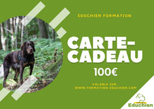 Charger l'image dans la galerie, Carte cadeau EDUCHIEN FORMATION