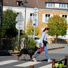 Charger l'image dans la galerie, Stage intensif education canine Yvelines 78 île-de-france Alexis bonnarang Educateur canin comportementaliste Education canine Dressage chien chiot education du chiot Formation educateur canin le métier d'éducateur canin club canin de la plaine de jouars Educhien formation journée de stage et de formation canine