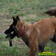 Charger l'image dans la galerie, EDUCHIEN FORMATION stage de recherche olfactive chien Yvelines 78 île-de-france Educhien78 stage et formation de recherche