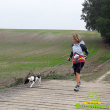 Charger l'image dans la galerie, club canin Yvelines club canin de la plaine de jouars EDUCHIEN78 Alexis bonnarang évenement canin journée du chien Canicross Cani-cross sport canin dog training course chien Yvelines île de france formations et stages canins Jouars-pontchartrain education chien chiot dressage planning des formations educhien78 2021 dimanche 3 octobre