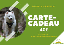 Charger l'image dans la galerie, Carte cadeau EDUCHIEN FORMATION