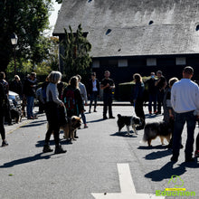 Charger l'image dans la galerie, Stage intensif education canine Yvelines 78 île-de-france Alexis bonnarang Educateur canin comportementaliste Education canine Dressage chien chiot education du chiot Formation educateur canin le métier d'éducateur canin club canin de la plaine de jouars Educhien formation journée de stage et de formation canine