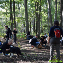 Charger l'image dans la galerie, Stage intensif education canine Yvelines 78 île-de-france Alexis bonnarang Educateur canin comportementaliste Education canine Dressage chien chiot education du chiot Formation educateur canin le métier d'éducateur canin club canin de la plaine de jouars Educhien formation journée de stage et de formation canine