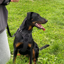 Charger l'image dans la galerie, alexis bonnarang educateur canin comportementaliste yvelines stages canins formation canine educhien formation 100% en ligne formation chiot education positive chien formation vidéo stage intensif education dressage educhien78 dresseur agility sport comportement chien