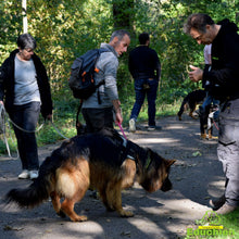 Charger l'image dans la galerie, Stage intensif education canine Yvelines 78 île-de-france Alexis bonnarang Educateur canin comportementaliste Education canine Dressage chien chiot education du chiot Formation educateur canin le métier d'éducateur canin club canin de la plaine de jouars Educhien formation journée de stage et de formation canine