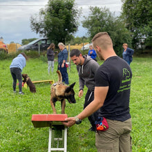 Charger l'image dans la galerie, alexis bonnarang educateur canin comportementaliste yvelines stages canins formation canine educhien formation 100% en ligne formation chiot education positive chien formation vidéo stage intensif education dressage educhien78 dresseur agility sport comportement chien