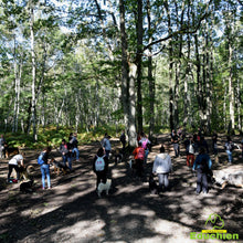 Charger l'image dans la galerie, Stage intensif education canine Yvelines 78 île-de-france Alexis bonnarang Educateur canin comportementaliste Education canine Dressage chien chiot education du chiot Formation educateur canin le métier d'éducateur canin club canin de la plaine de jouars Educhien formation journée de stage et de formation canine