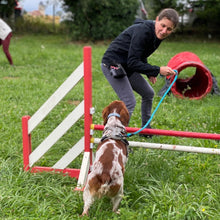 Charger l'image dans la galerie, alexis bonnarang educateur canin comportementaliste yvelines stages canins formation canine educhien formation 100% en ligne formation chiot education positive chien formation vidéo stage intensif education dressage educhien78 dresseur agility sport comportement chien